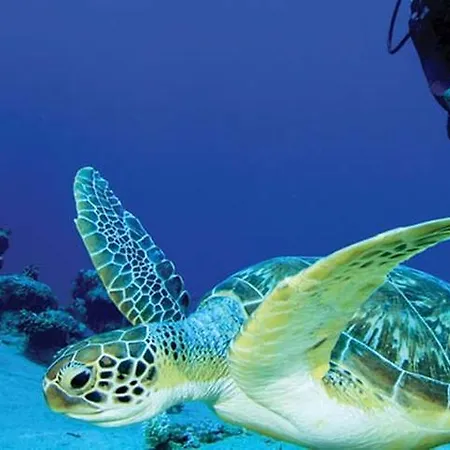 Apartment Artemis Boutique 1 Limassol